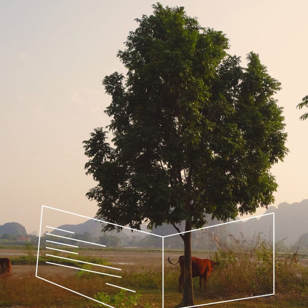 Captured during our Vietnam trip — a peaceful rural moment tied to the origin story of Pop a Card.