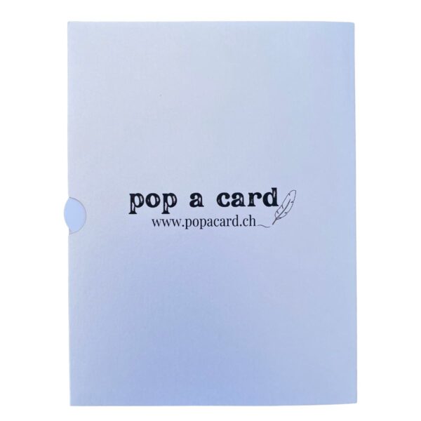 Back cover of the 3D pop-up dinosaur birthday card
